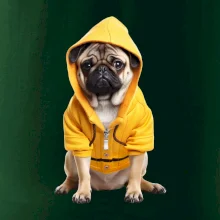 Mops v mikine Mops v mikine