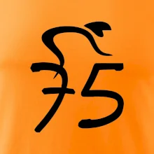 Cyklista oslavuje sedemdesiatpäťpäťky (75)