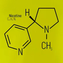 Molekulárna štruktúra Nikotín