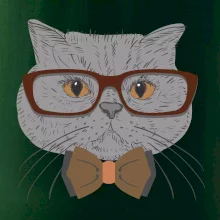 Hipster britská modrá Hipster britská modrá