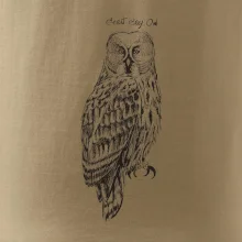 Sova bradatá Barred owl