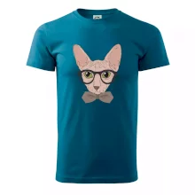 Hipster sphynx Hipster sphynx