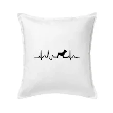 EKG Francouzský buldoček z boku