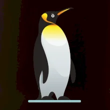 Tučniak so žltou nákrčenkou