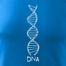 Cyklistovo DNA