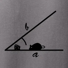 Matematická myš Matematická myš