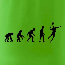 Evolúcia Bedminton