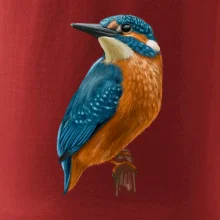 Ľadnáčik kreslený