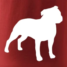 Americký stafordšírsky teriér Na prsníku