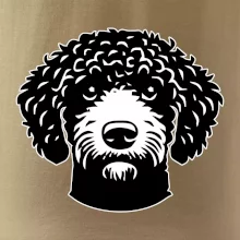 Lagotto romagnolo hlava na prsníku