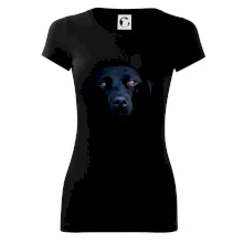 Čierny Labrador fotka