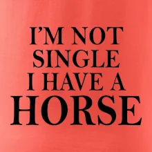 I have a horse