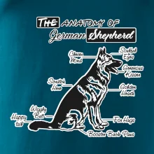 Nemecký ovčiak - Anatómia Nemecký ovčiak - Anatómia