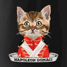 Napoleon domáci mačka