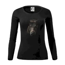 Diviak fotka Diviak fotka