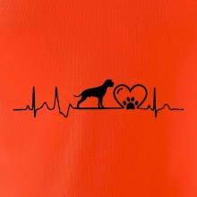 Nemecký boxer EKG Nemecký boxer EKG