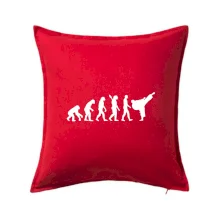 Karate Evolúcia - kop Karate Evolúcia - kop