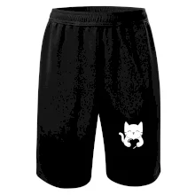 Mačka drží srdce Mačka drží srdce