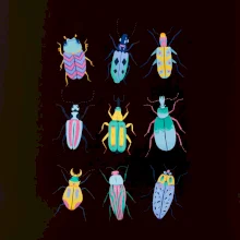 Farebné chrobáky (studio-arte.cz) Farebné chrobáky (studio-arte.cz)