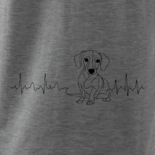 EKG krivka jazvečík