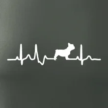 EKG Francouzský buldoček z boku