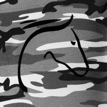 Kôň - hlava silueta