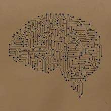 Tlačený spoj mozog