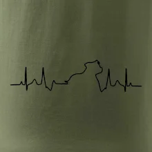 Stafordšírsky bulteriér ‎ EKG