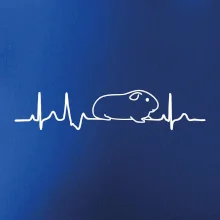 EKG morča EKG morča