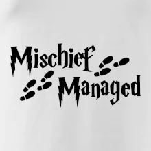 Harry - Mischief Managed