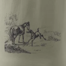 Kôň a žriebä maľované