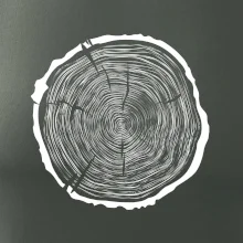 Letokruhy 70 bez veku Letokruhy 70 bez veku