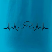 Labradorský retriever‎ EKG