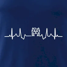 Shih-tzu ekg hlava Shih-tzu ekg hlava