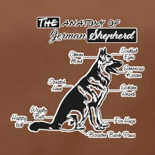 Nemecký ovčiak - Anatómia