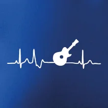 EKG akustická gitara EKG akustická gitara