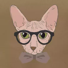 Hipster sphynx