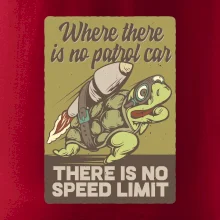 Korytnačka na cestách