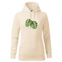 Monstera - dva listy