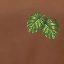 Monstera listy na prsu