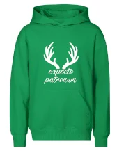 Harry - Expecto patronum