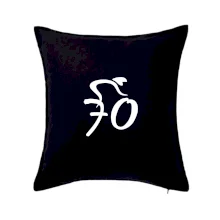 Cyklista oslavuje sedemdesiatku (70)