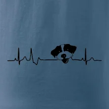 Jack Russell Teriér hrubosrstý Ekg