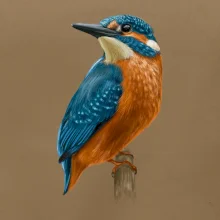 Ľadnáčik kreslený