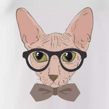 Hipster sphynx