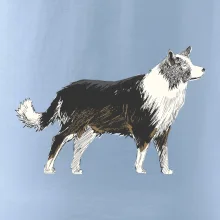 Border kólia kreslená