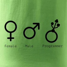 Female male programmer