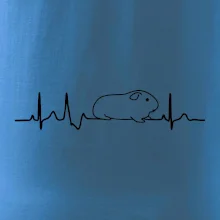 EKG morča EKG morča