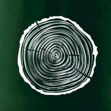 Letokruhy 25 bez veku