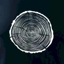 Letokruhy 35 bez veku